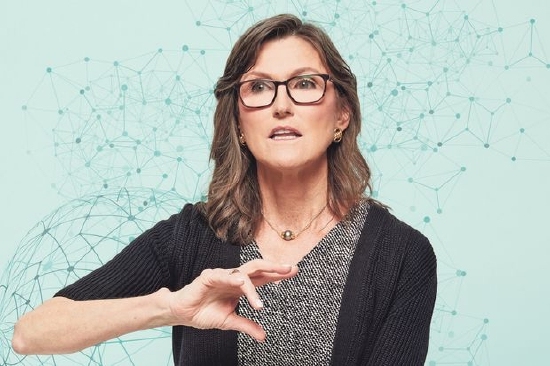 AB快讯:7月21日:木头姐仓位动态